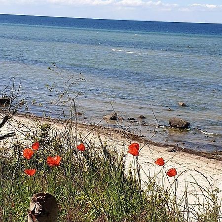 Ferienwohnung Storchenblick Zurow Dış mekan fotoğraf